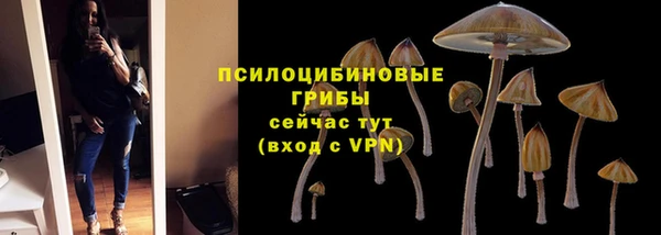 Альфа ПВП Новокубанск