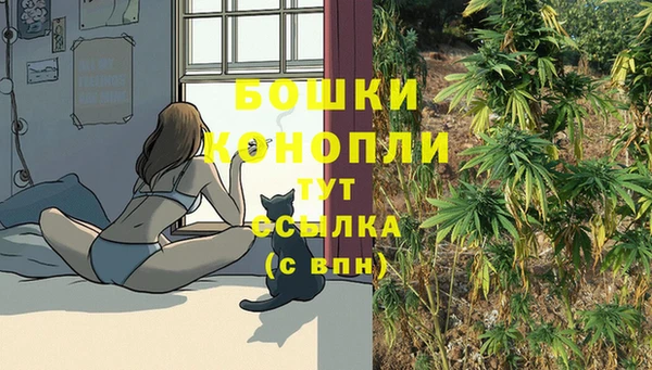 jwh Новозыбков