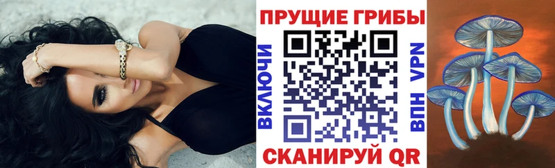 Галлюциногенные грибы MAGIC MUSHROOMS  цена   blacksprut зеркало  Аткарск 